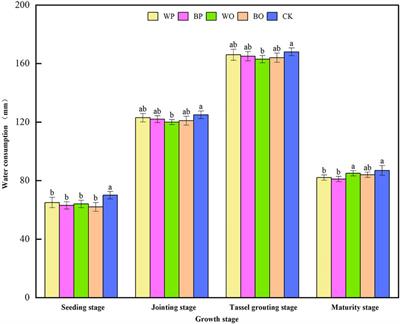 Effects of Different Plastic Mulching Film on Soil Hydrothermal Status and Water Utilization by Spring Maize in Northwest China